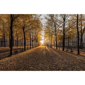 Lange Voorhout, Den Haag